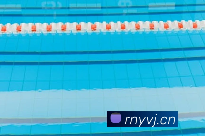 开云手机入口注册平台生态图